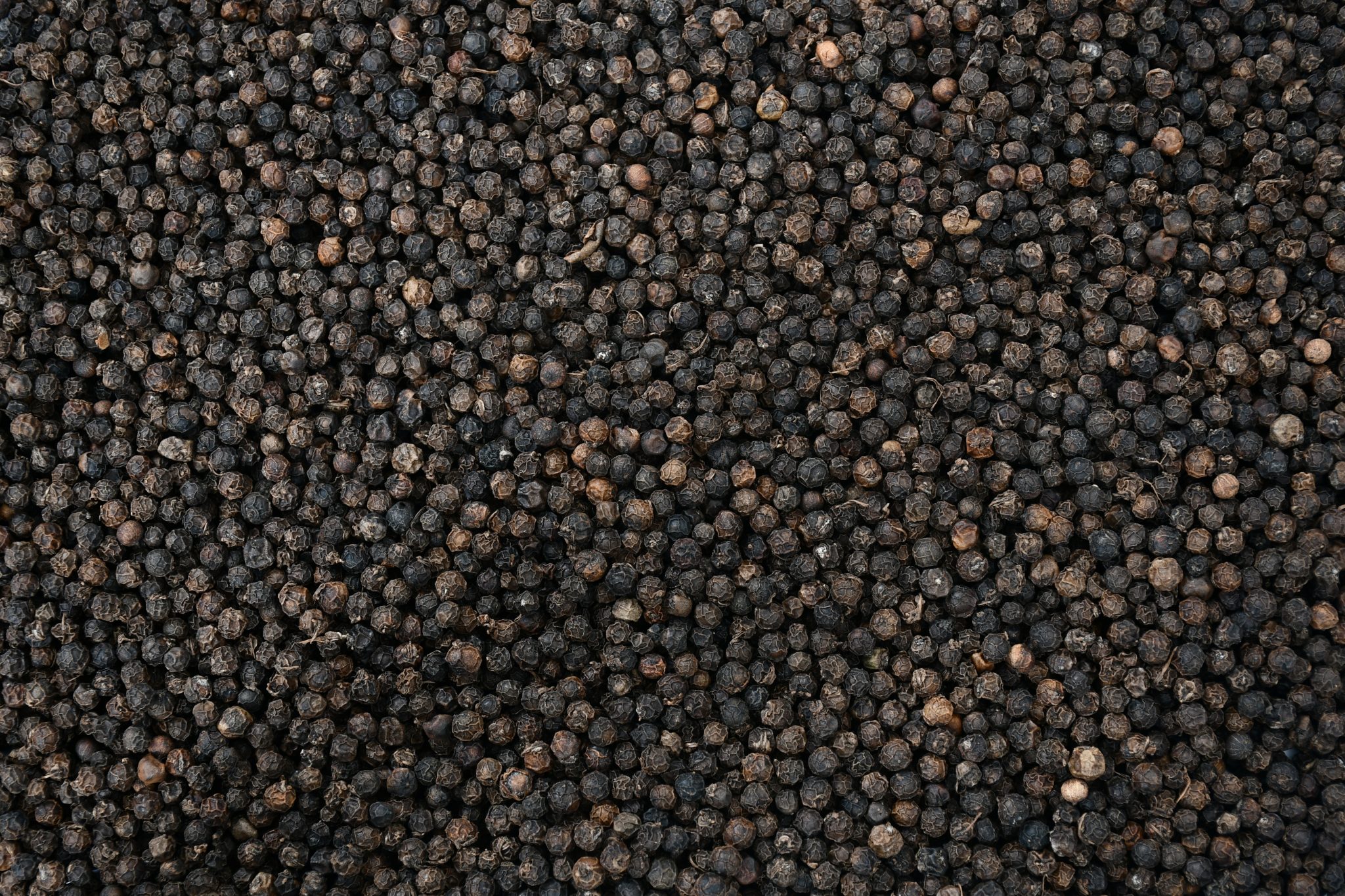 Madagascar Black Peppercorn