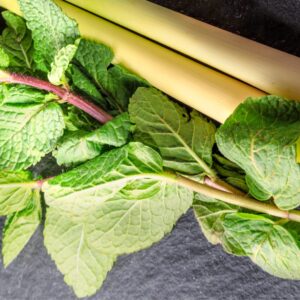 Lemongrass Mint White Balsamic