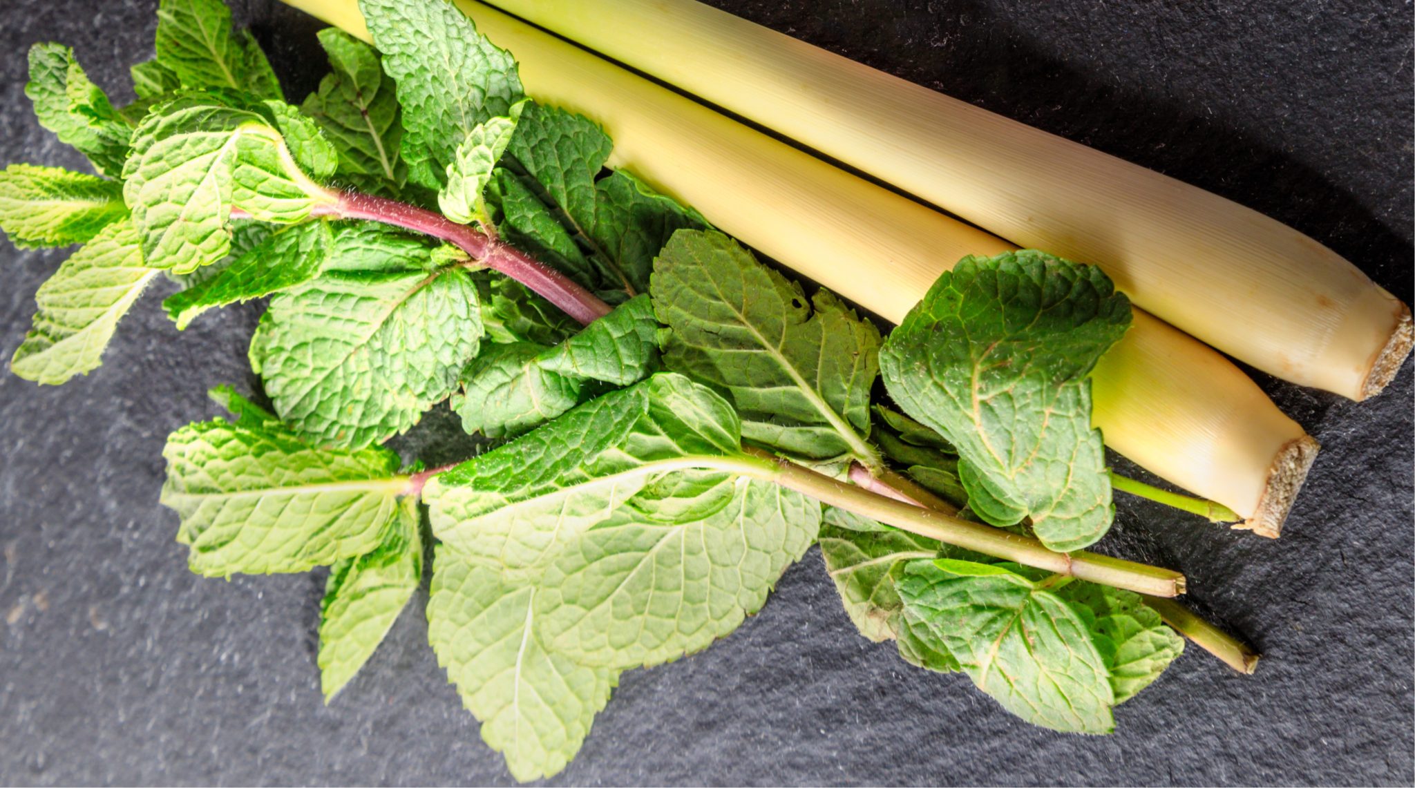 Lemongrass Mint White Balsamic