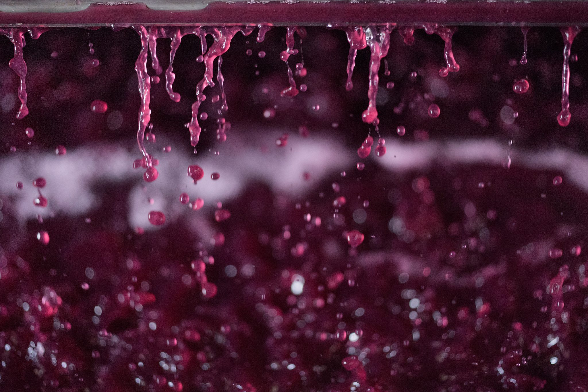 Organic Red Wine Vinegar