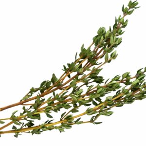 Fused Greek Thyme